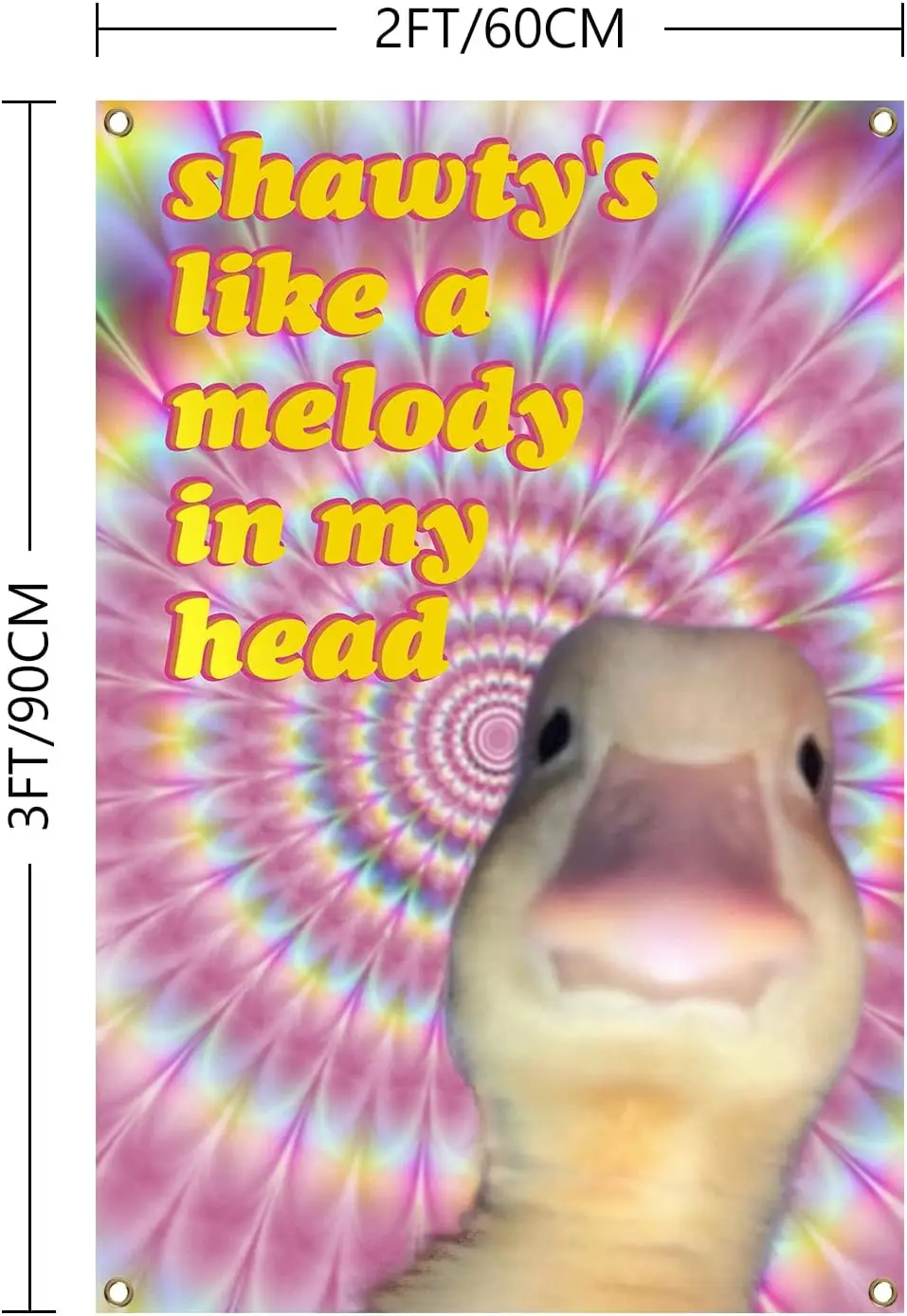 Duck Flag Shawty's Like A Melody In My Head Funny Flags 2x3Ft with Brass Grommets Meme Banner for College Dorm