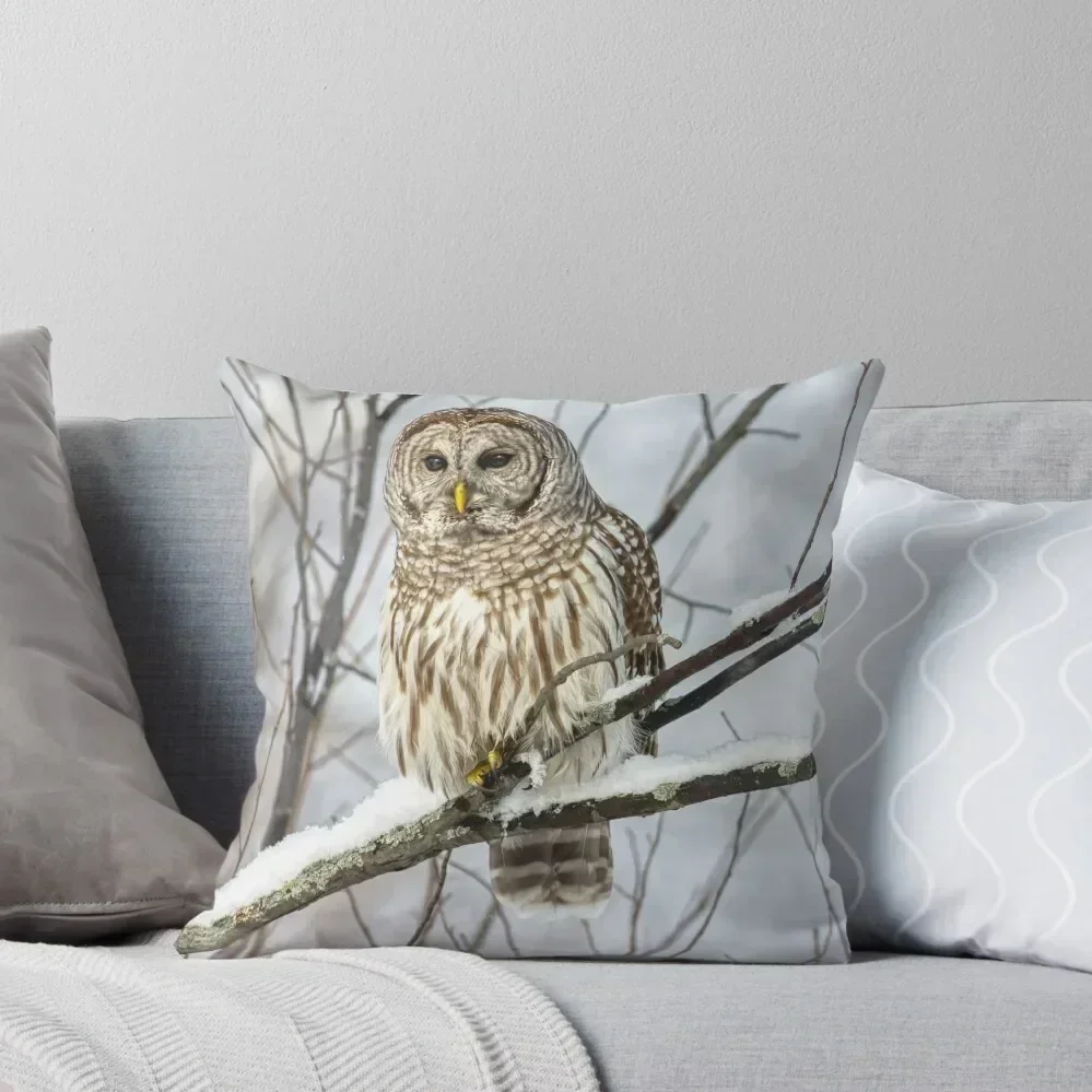 

Barred Owl Throw Pillow Christmas Cushion For Home Pillow Cases Decorative pillow