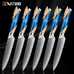 Steak Knives, Sharp Serrated Steak Knife Set 5 Inch Damascus Steel Steak Knife Set,Pro Straight Edge Kitchen Table Dinner Knives