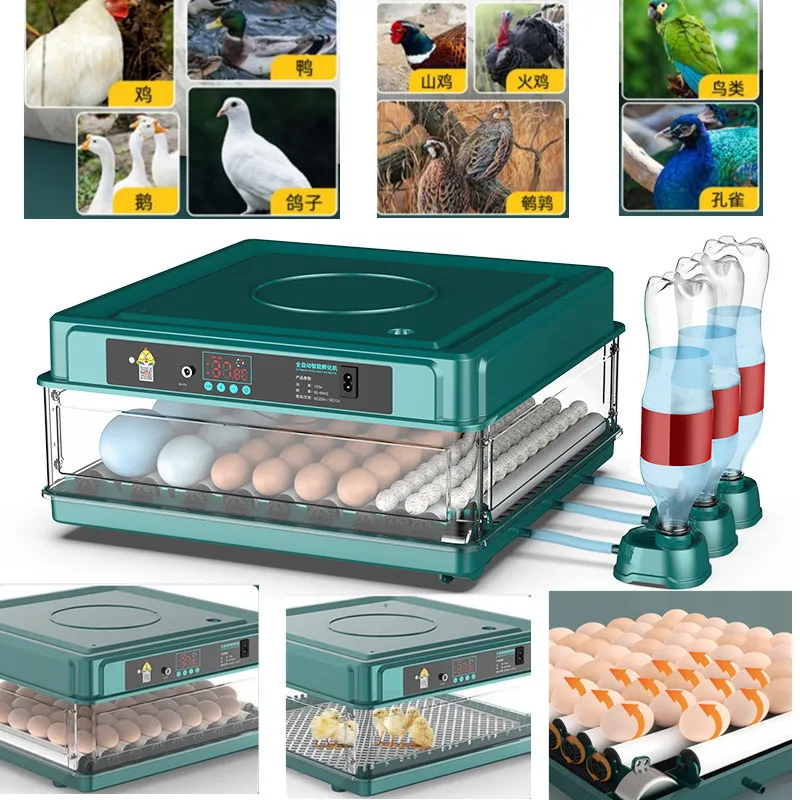 6/12 Eggs Incubator Automatic Temperature Control Water Replenishment Thermoregulator Eggs Brooder For Machine Incubators Fully