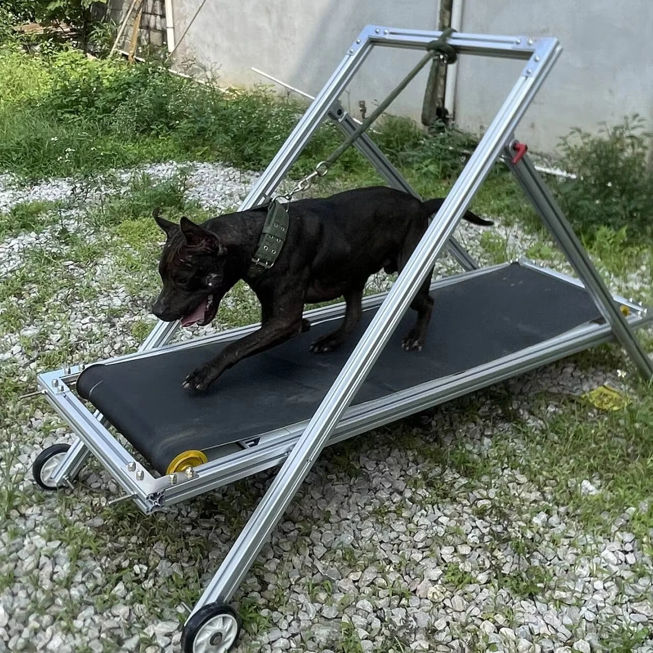 

Dog Treadmill for Small Dogs, Dog Slat Mill Doggy Treadmill, Slat Mill for Dogs to Keep Active and Fit