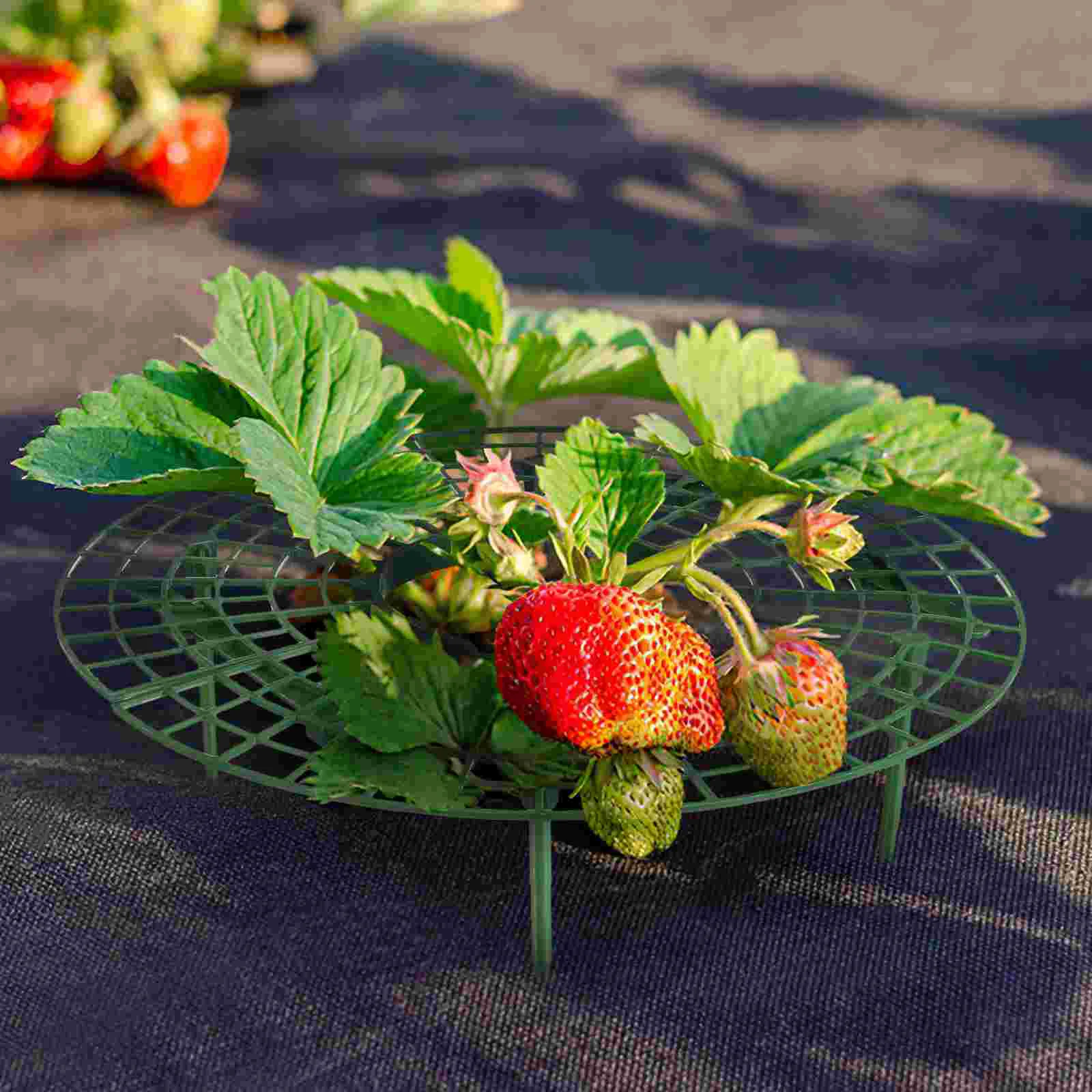 6 Pcs Strawberry Support Holder Plastic Plant Growing Stands Easy Insertion Stakes Cuttable Lifts Strawberries Flower Pot