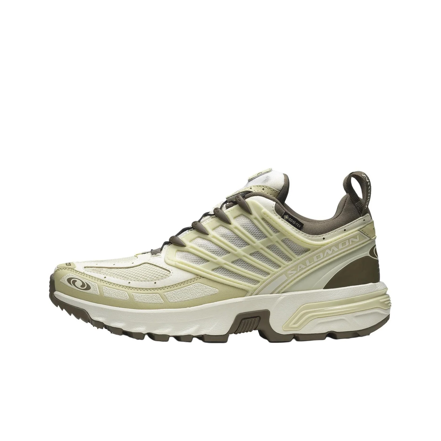 

Acs Pro Salomon GORE-TEX 'Vanilla Ice Green Haze' L47736200