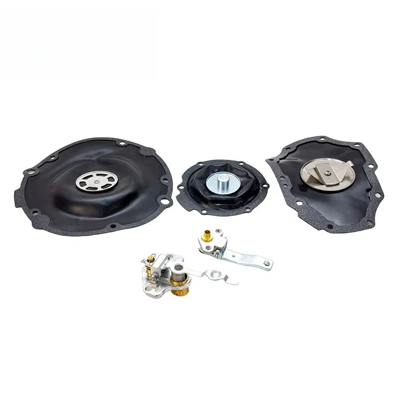 High Quality Factory Price Liquefied Completely Replacement Gas Valve Repair Kits 17962-00H05 for Nissan Engine K21/K25/H20