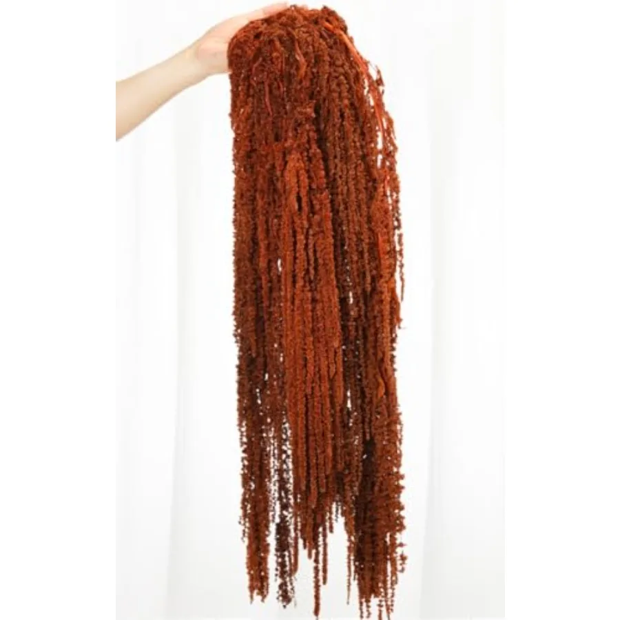 5 قطعة أمارانثوس المجففة زهور معلقة زهرة محفوظة طبيعية لمعرض قوس الزفاف الجدار الشنق عاشق الدموع الأزهار أرا #1