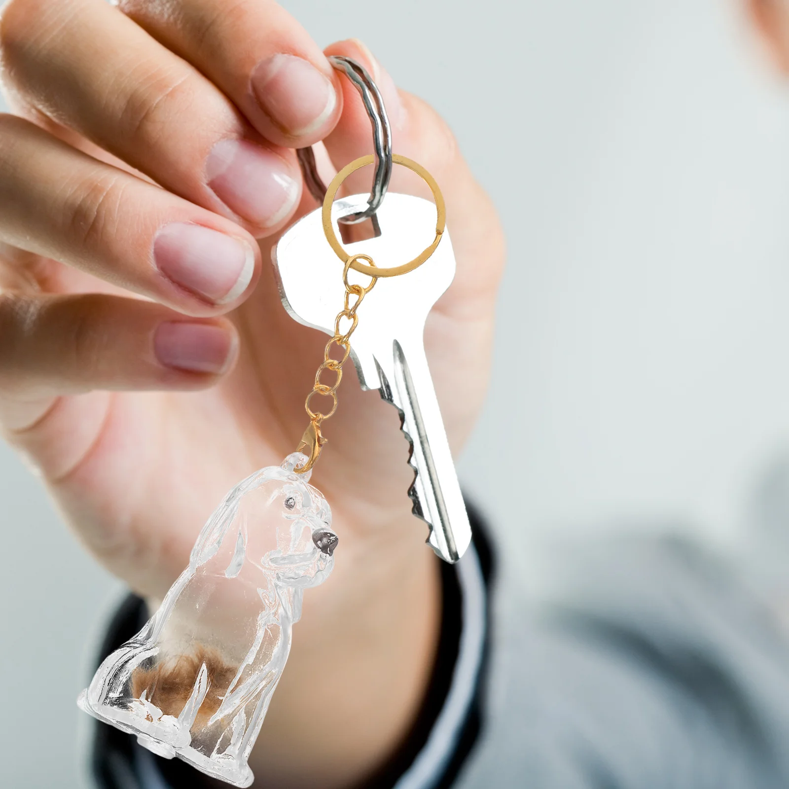 

2Pcs Pet Hair Storage Keychain Transparent Dog Hair Memorial Box Portable Keepsake Organizer Pet Remembrance Present