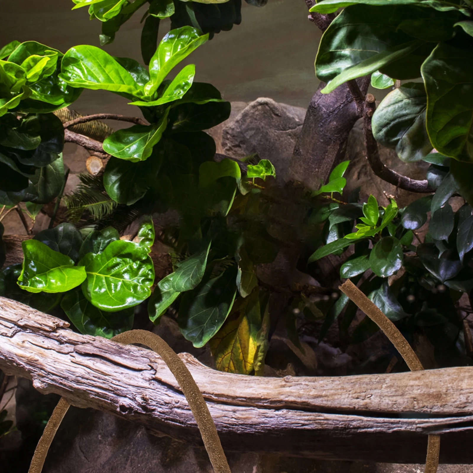 

Simulated Vine Branch 1M Single Reptile Tank Decor Terrarium Landscaping Pet Habitat Ornament Lifelike Environment Fake Plants
