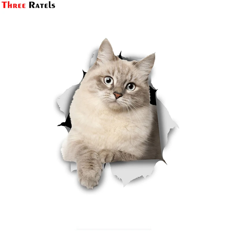 Three Ratels FTC-1048 3D Cat Stickers Siberian Kitty  for Car Window Wall Fridge Toilet  Decorations Living Room