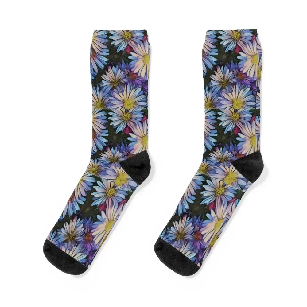 

ABUNDANT ASTERS Socks Stockings compression funny sock hiphop Men's Woman Socks Men's