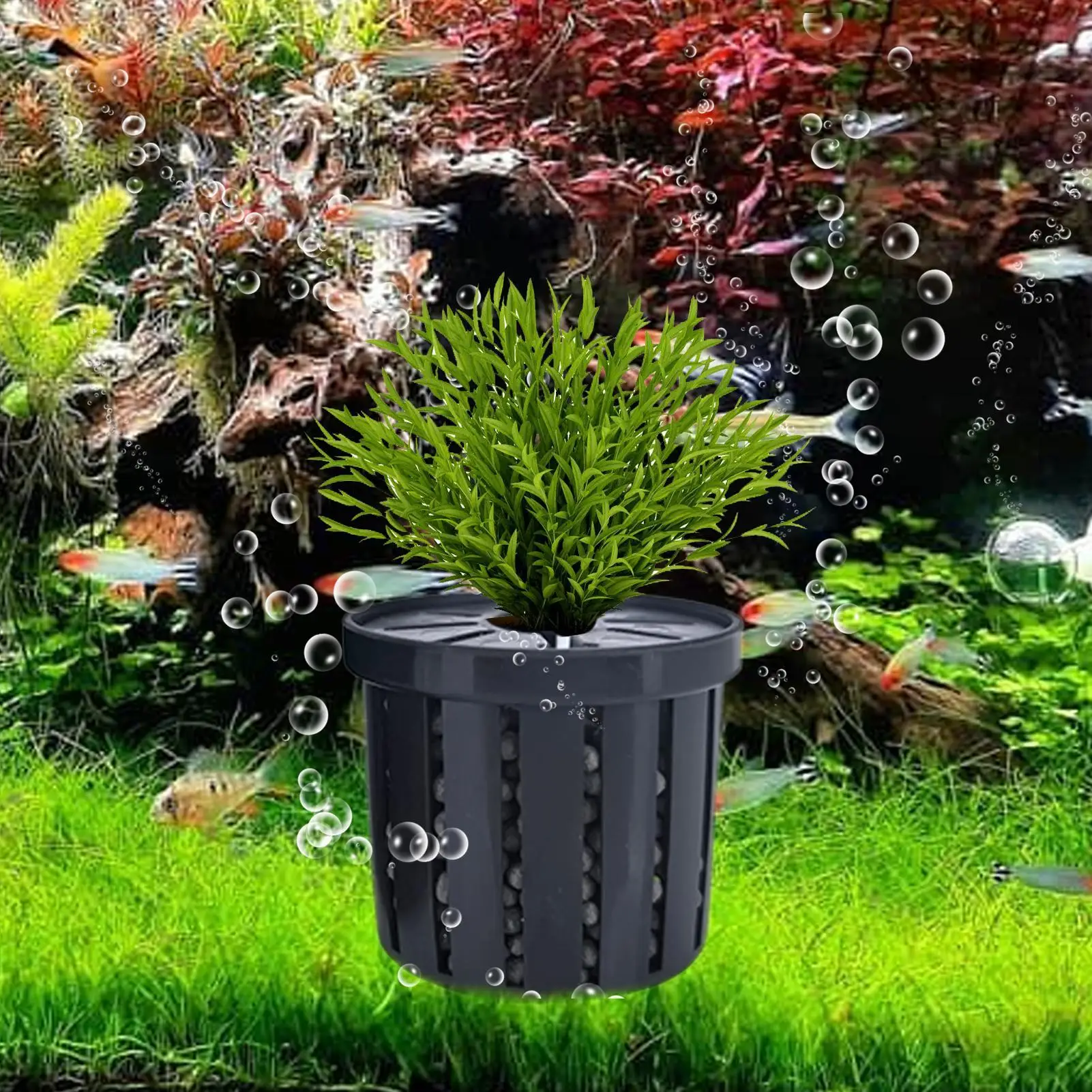 #84 Ranked Decorative Aquarium Plants Picks in 2026