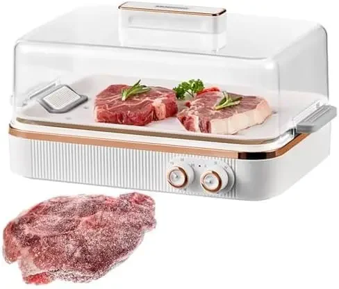 220v Electric Defrosting Board 5L,Fast Aluminum Alloy Meat Thawing Tray with 360 Circulation & 4 Temperature Settings for Food