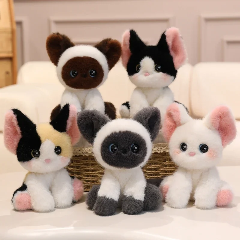 Mini 3 Color Devon Rex Cat Cute Siamese Cartoon Stuffed Plush Animal Baby Cuddly Toy Soft Desktop Ornam Learning Accompany Dolls