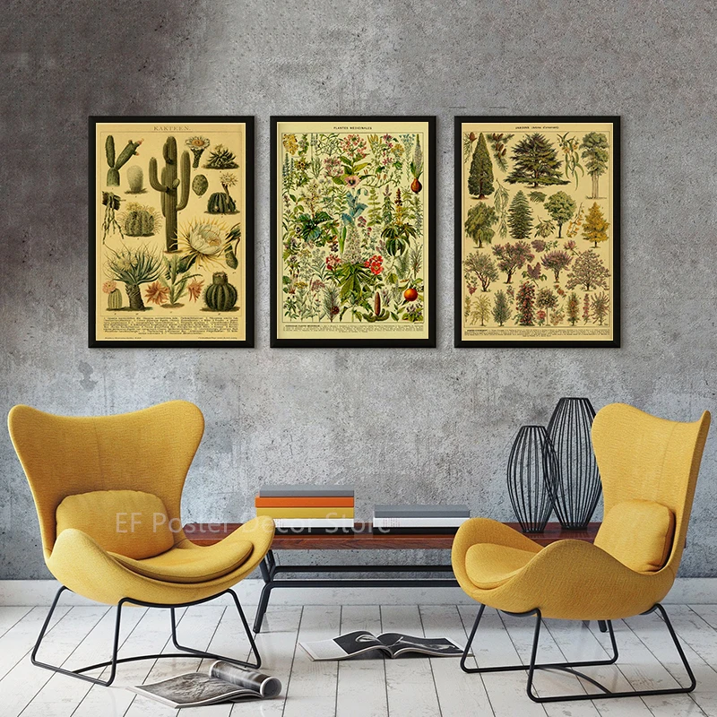 Antique Botanical Illustration Poster Bird Fruit Plants Flowers Prints Vintage Home Room Kitchen Garden Decor Art Wall Painting