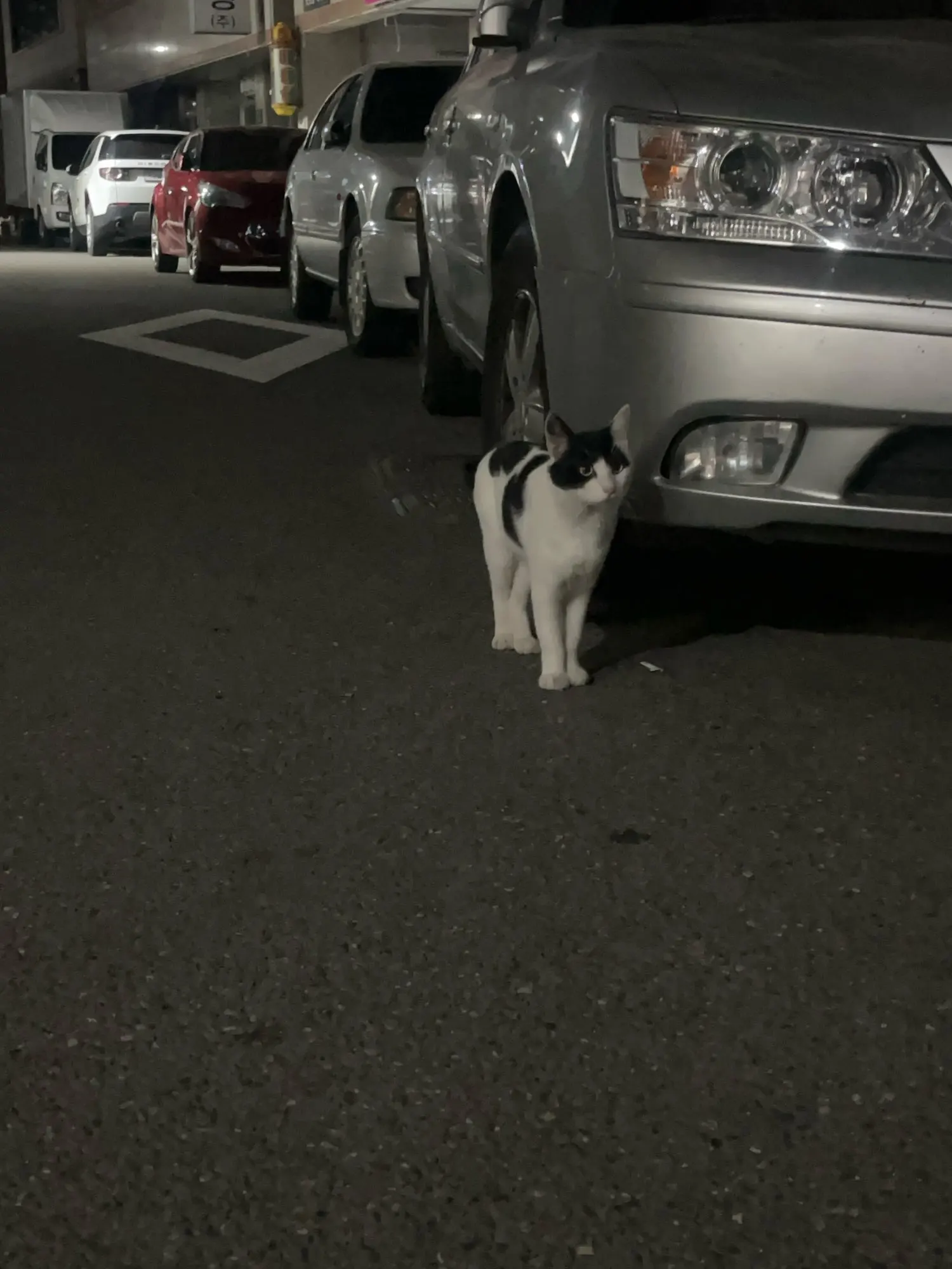 리뷰 사진