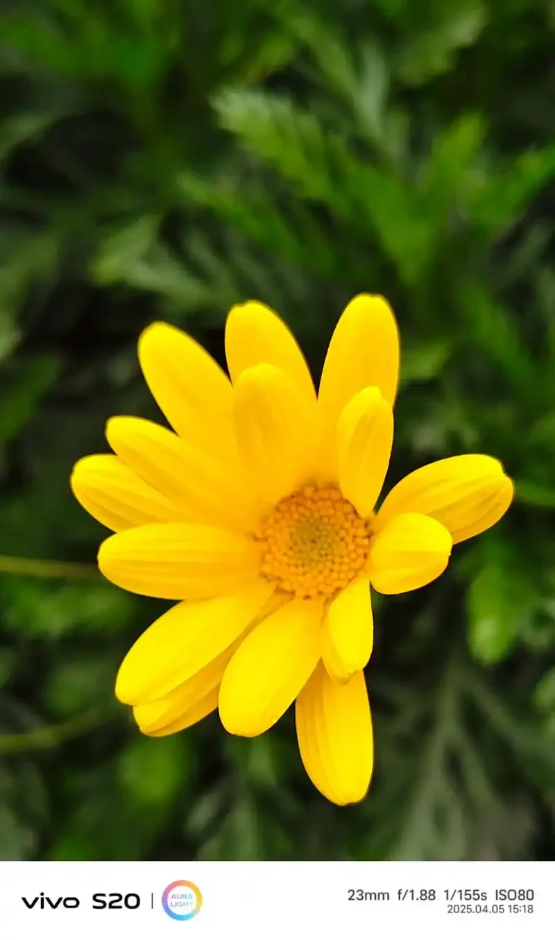 

Съемник шестерни двигателя RC, профессиональный инструмент, универсальный съемник усиления и утолщения шестерни W010 для обновления двигателей радиоуправляемого вертолета дрона