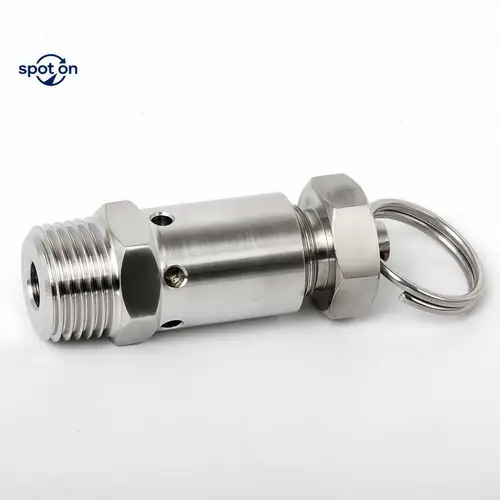 Imagen 2 del producto Válvula de alivio de presión de seguridad de acero inoxidable 304, rosca de 1/2''1/4''BSPT/NPT, escape de 0,5-10 Bar