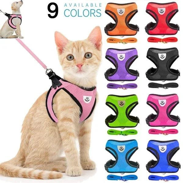#27 Budget Puppy Leads for Smart Shoppers
