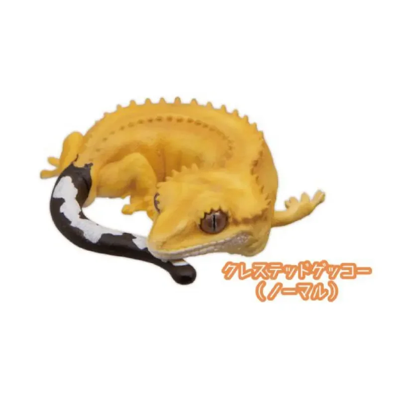 Echtes Gacha-Skala-Modell, der Wächter des Schlafs, schlafende Reptilien-Eidechsen, dekoratives Produkt, Action-Figur, Spielzeug