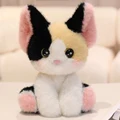 gato negro y amarillo