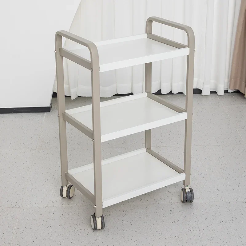 Beauty Salon Trolley Cosmetic Hairdressing Auxiliary Cart Aesthetics Serving Carrello Estetista Multi-purpose Wheels Furniture