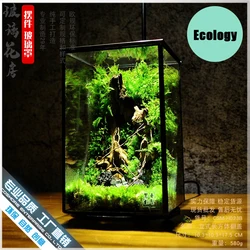 Rectangular Succulent Plant Moss Micro Landscape Irregular Glass Immortal Ecology Small Flower Box Scorpion House Ants