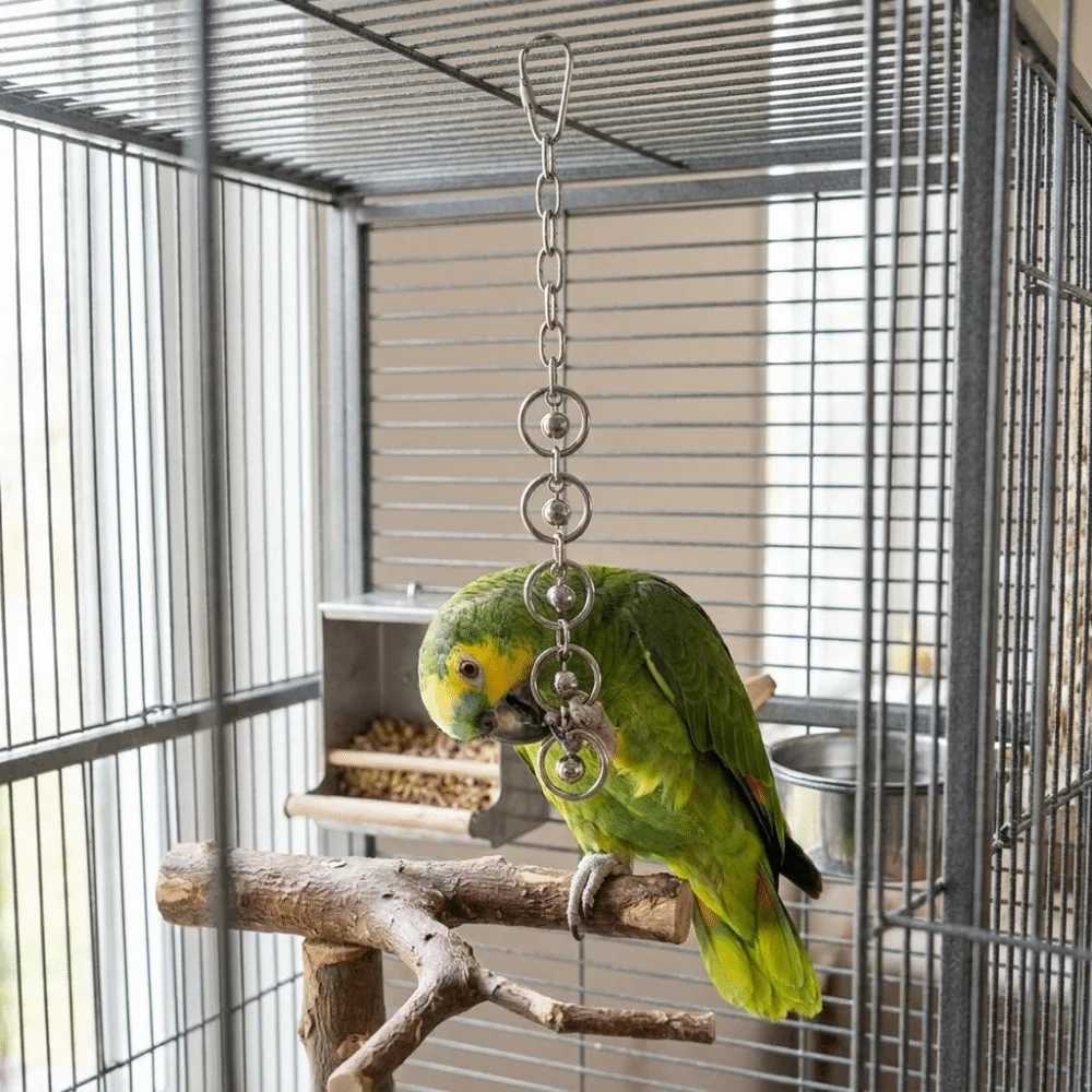 Stainless Steel Parrot Gnaw Wear-resistant Rust-Proof Parrot Bite String Bite Resistant Bird Chain Bells Cage Accessories