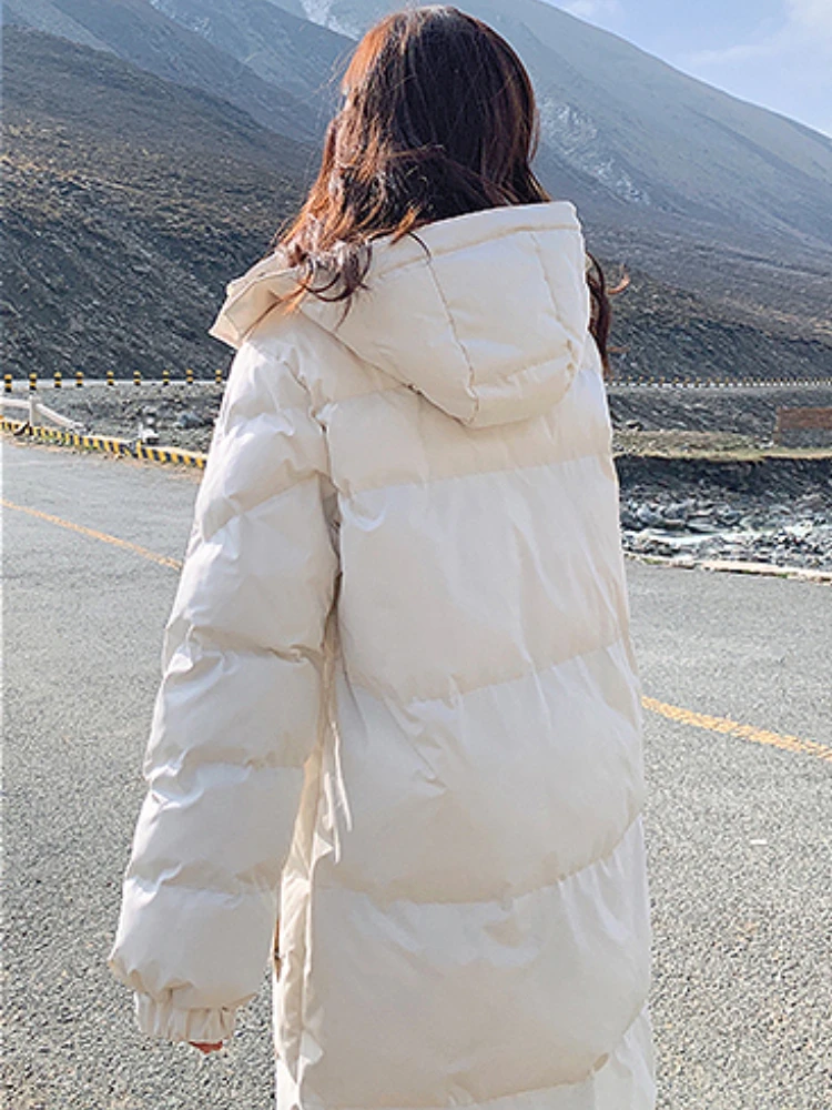 Hooded Long Paraks Women Baggy Winter Warm Thick Outerwears Gentle Preppy Style Simple Daily Fashion Ulzzang All-match Classic