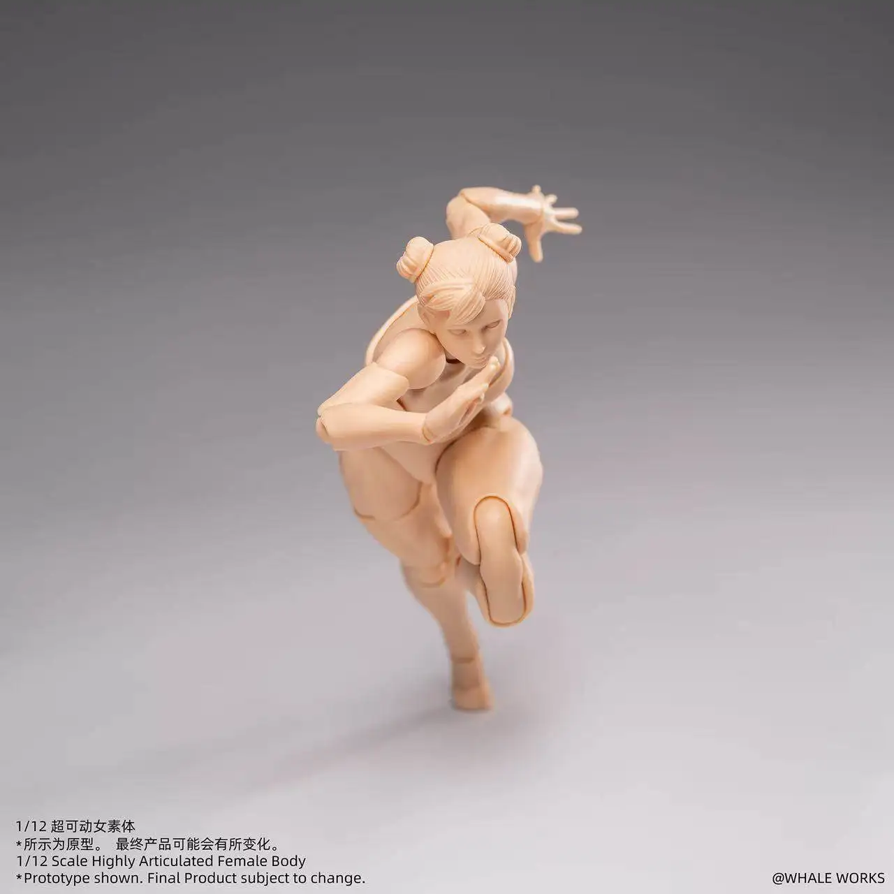 1/12 ARIA RIN WHALE WORKS WW01/02 Super Articulated Action Figure