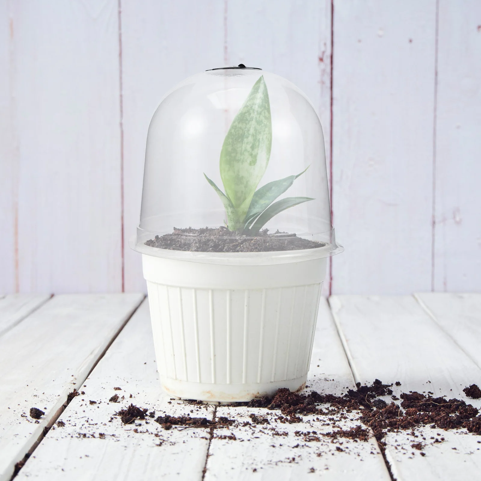 1 مجموعة حديقة قبة غطاء النبات البلاستيك الشفاف تنفس حماية الصقيع للنباتات في الهواء الطلق قاء زجاجي قبة الرطوبة القباب البستنة #3