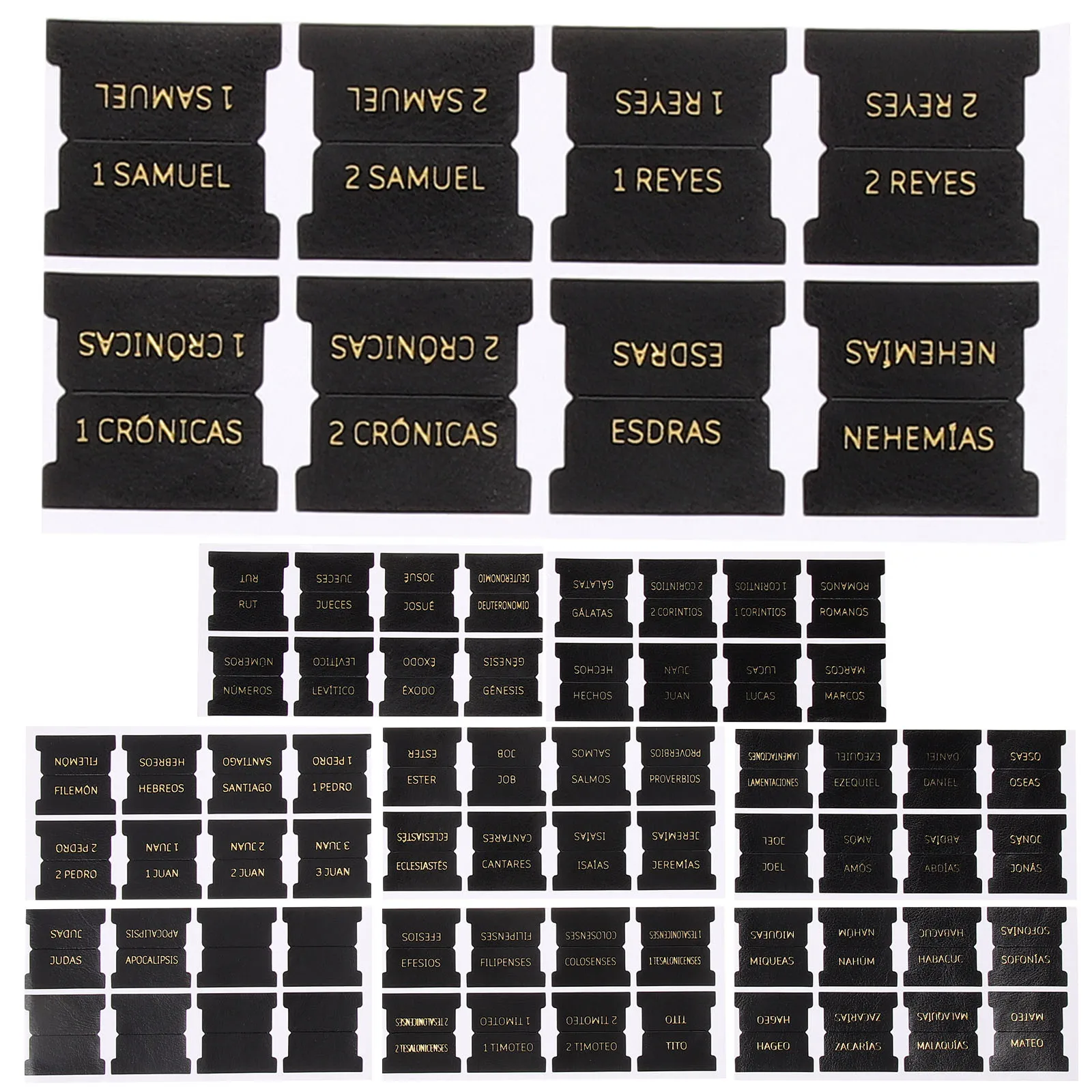 

blank bible study tabs blank bible tabs bible tabs for women bible tabs for men bible tabs for study bib