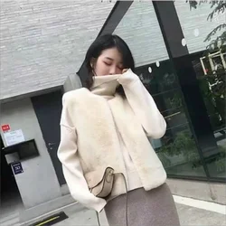 Chalecos de piel sintética para mujer, abrigo elegante sin mangas para fiesta y Club, moda de otoño e invierno, novedad
