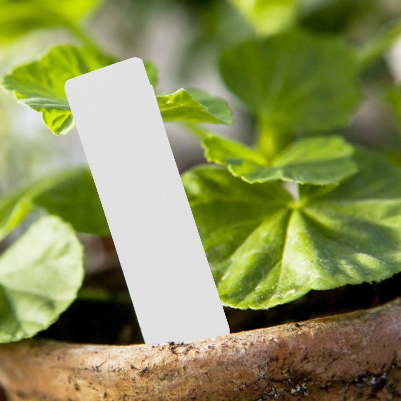 

ABZL 500 Pcs Reusable Pvc Plant Tag Label Tree Fruit Seedling Garden Flowerpot Plastic Label Sign Sorting Tool