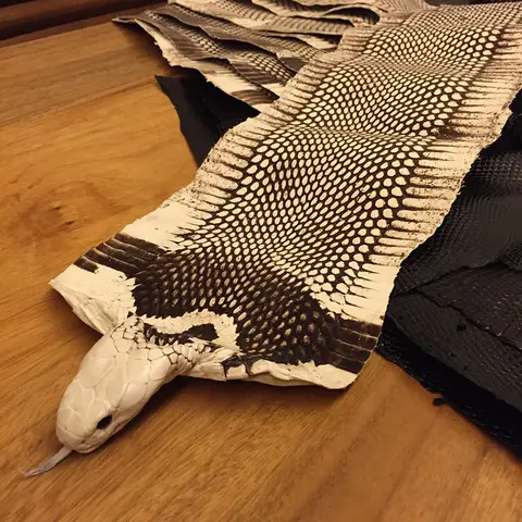 snake leather thickness 0.1-0.3mm Natural color Grain Genuine snake leather for DIY handmade belt shoe handbag