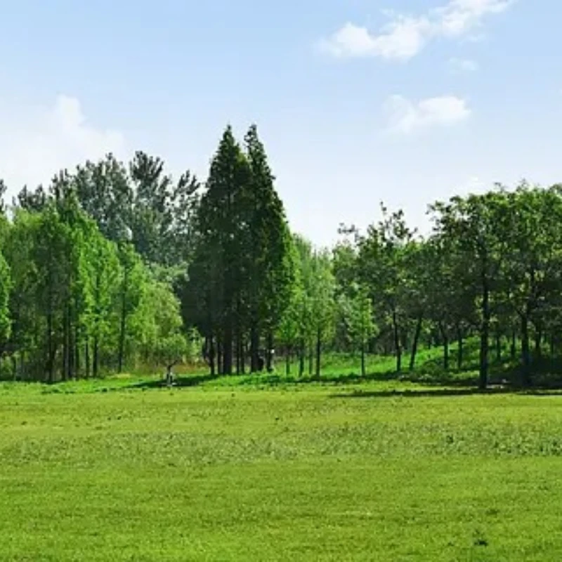 Motor T-HOBBY Cine99 350KV, diámetro del eje de 4mm para vueltas afiladas, seguimiento de alta velocidad, disparos cinematográficos dinámicos