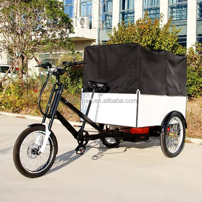 850W Electric Cargo Tricycle Heavy Duty Freight Bike Powerful Pedal Assist E Bike for Express Delivery and Large Load