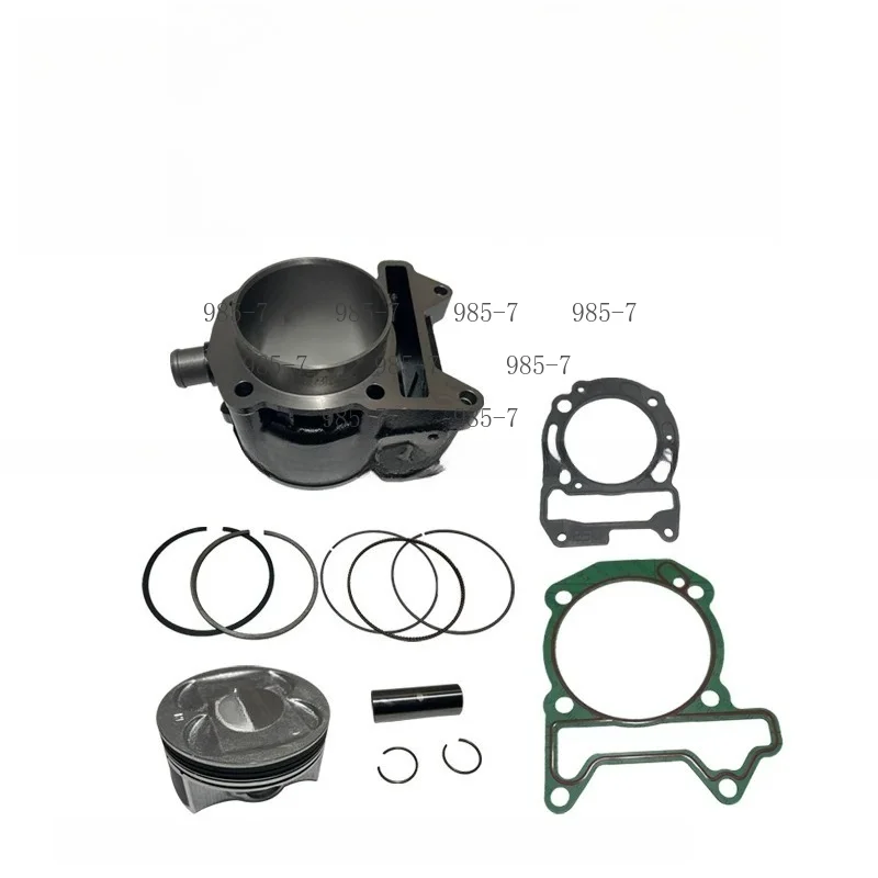 SR250GT Stepless LX250T Replacement Parts, Cylinder Block, Piston Ring, Upper & Lower Pin Retaining Rings