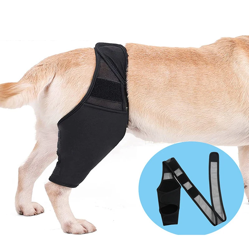 Dog Knee Pads Injury Recovery Fixed Support Brace Pet Protector Pain Relief Feet Cover Leg Joint Wrap Support Pet Recover