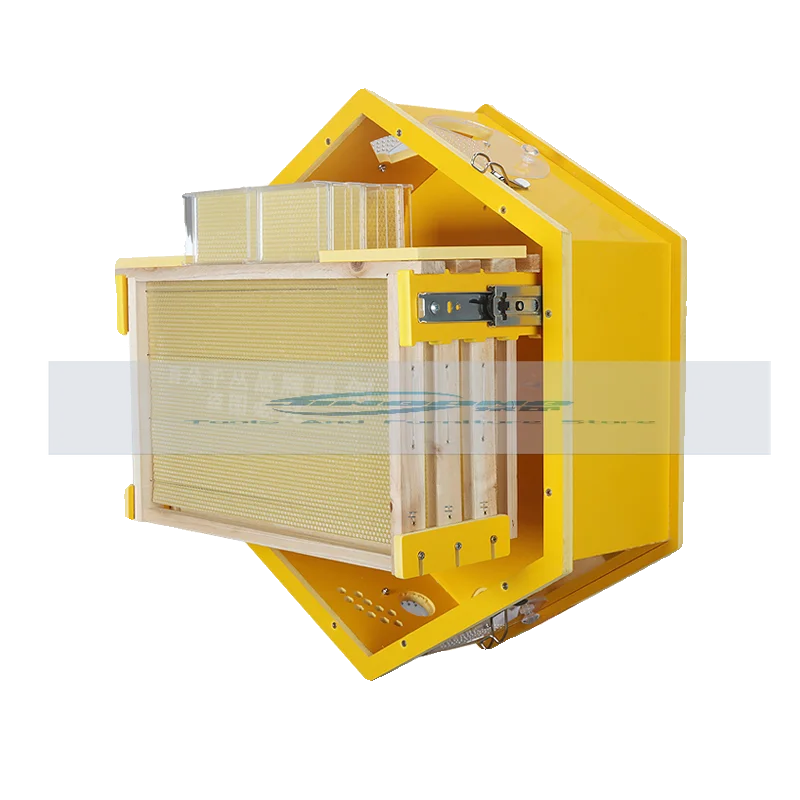 Colmeia De Parede U… - image