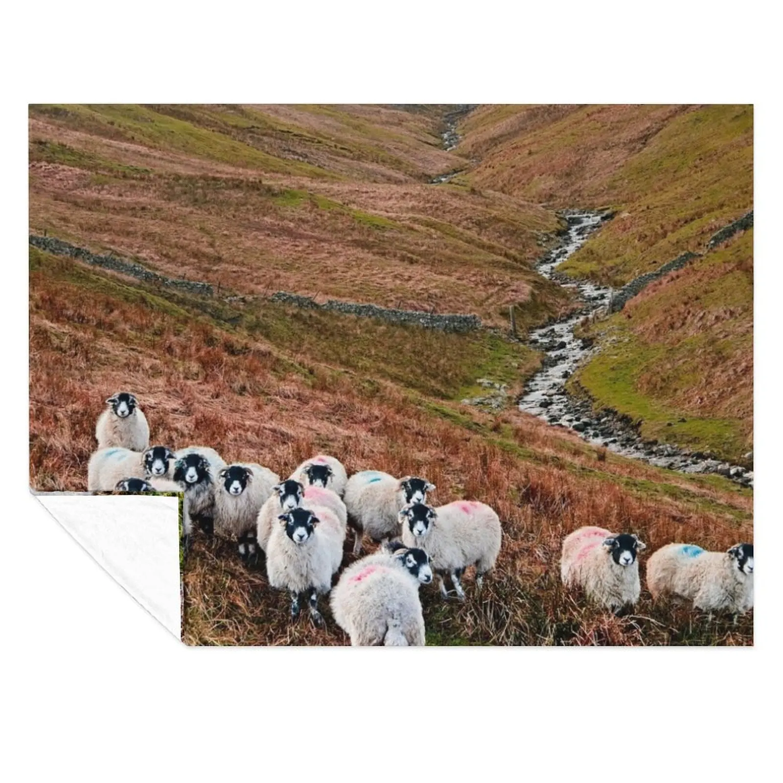 

Swaledale Sheep in Weardale Throw Blanket Luxury Thicken Plush Weighted Blankets