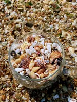 Beach Shell Conch Creative Handmade Diy Ultra Small Shell Conch Combination Mini Natural Shell Real No Dyeing