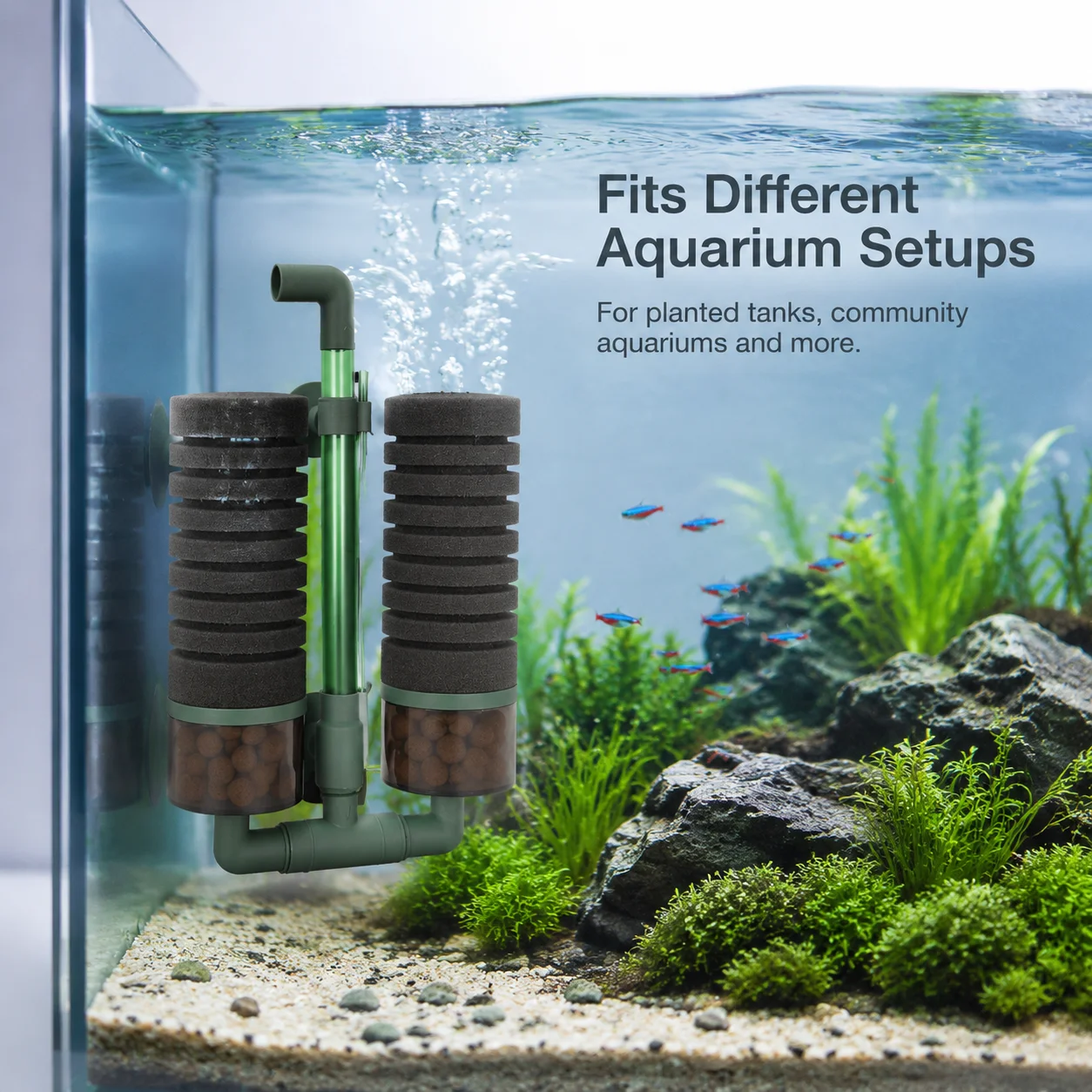 Doppelschwamm-Biofilter für Aq – Aquarium Fish Betta Bewertung und Preis