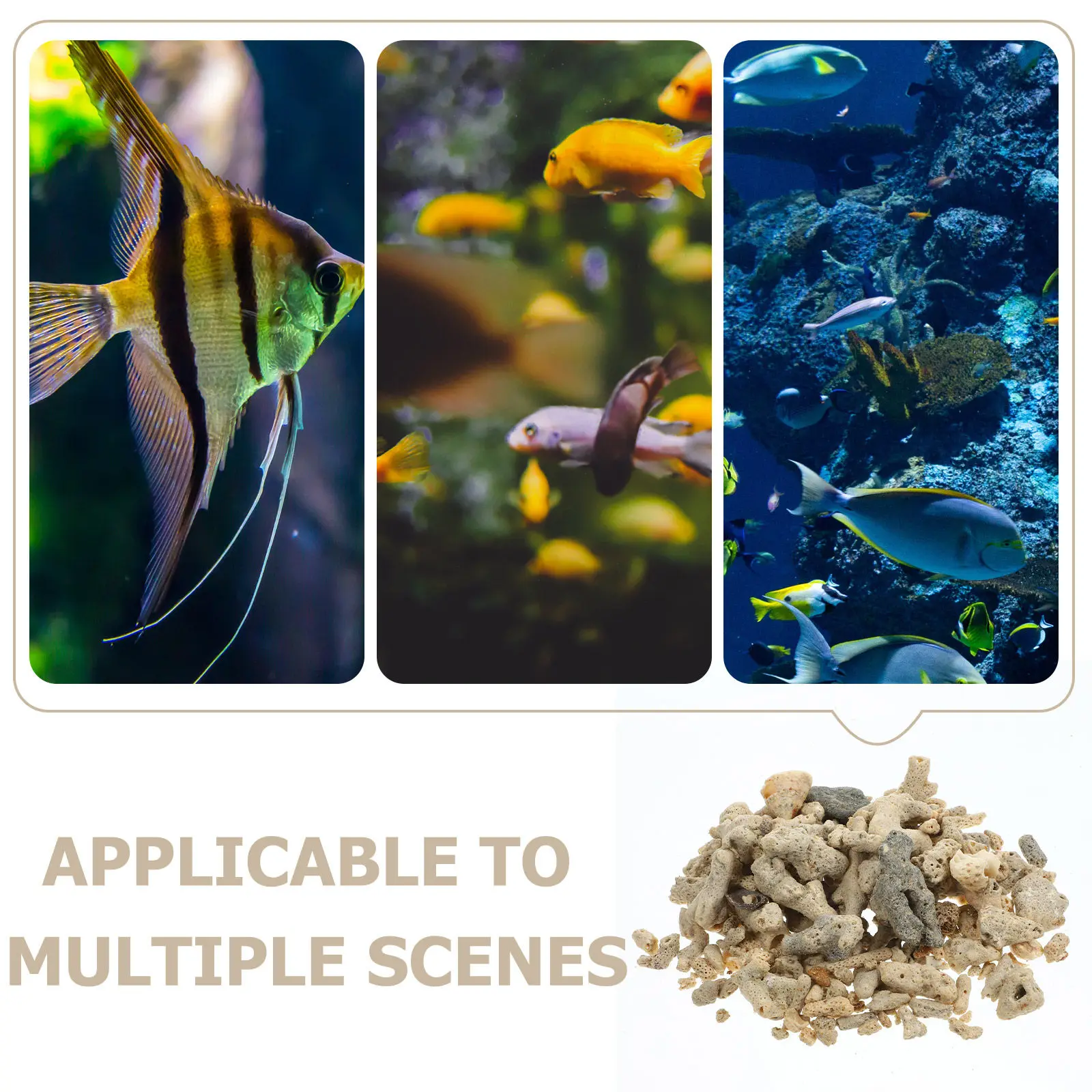 Fish Tank Filtration Material Aquarium Decorative Layout Coral Random Shape Size Natural Aquarium Filter Media Stone for Fresh