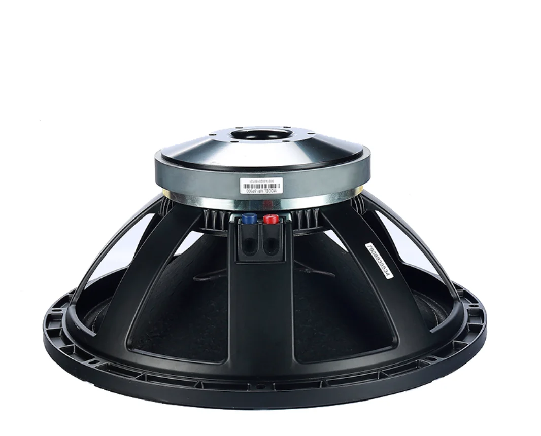 

Заводской китайский производитель динамиков 18-дюймовый профессиональный PA-динамик Double Spider