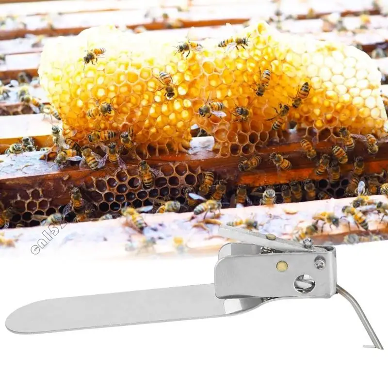 Professional Beekeeping Grafting Tool Accuracy Pupa Transfer Needle With Spring Mechanism For Queen Queen Rearing And 4XFB