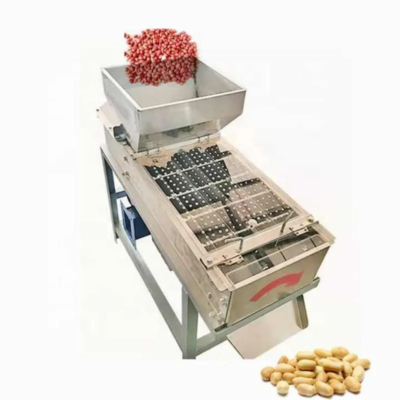 220V stainless steel multifunctional peanut peeling machine 200kg/h output agricultural equipment