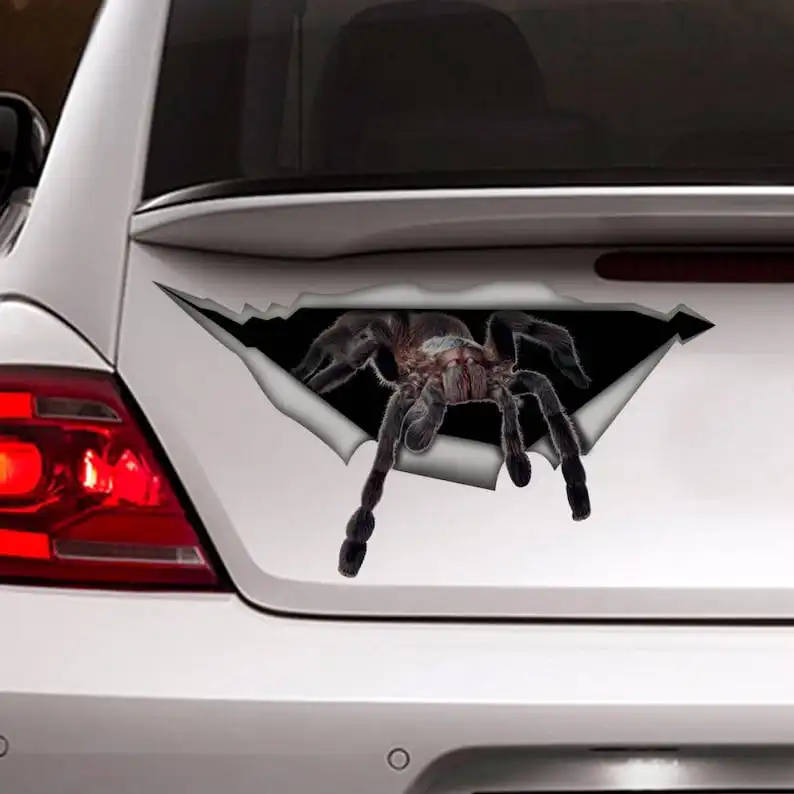 Spider car decal, funny car decal, spider sticker , car decoration, 3D decal