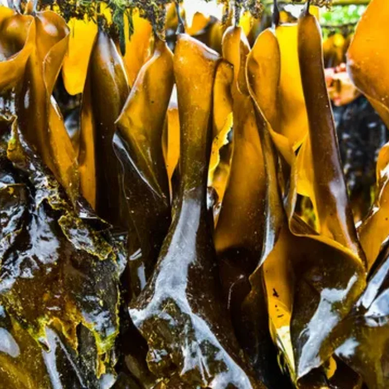 

Carbon Fiber Front Bumper Chassis Skid Plate Lower Guard for 1/7 ARRMA LIMITLESS F1 Car