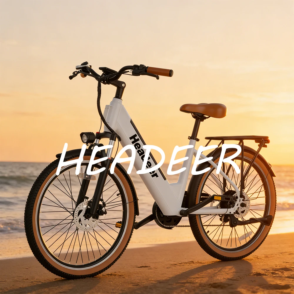 HEADEER BD26195 Elektrofahrrad 350W Bürstenloser Motor 48V11.5AH Lithium-Akku Erwachsenen-Elektrofahrrad 26 Zoll Reifen City-E-Bike – Detail 1