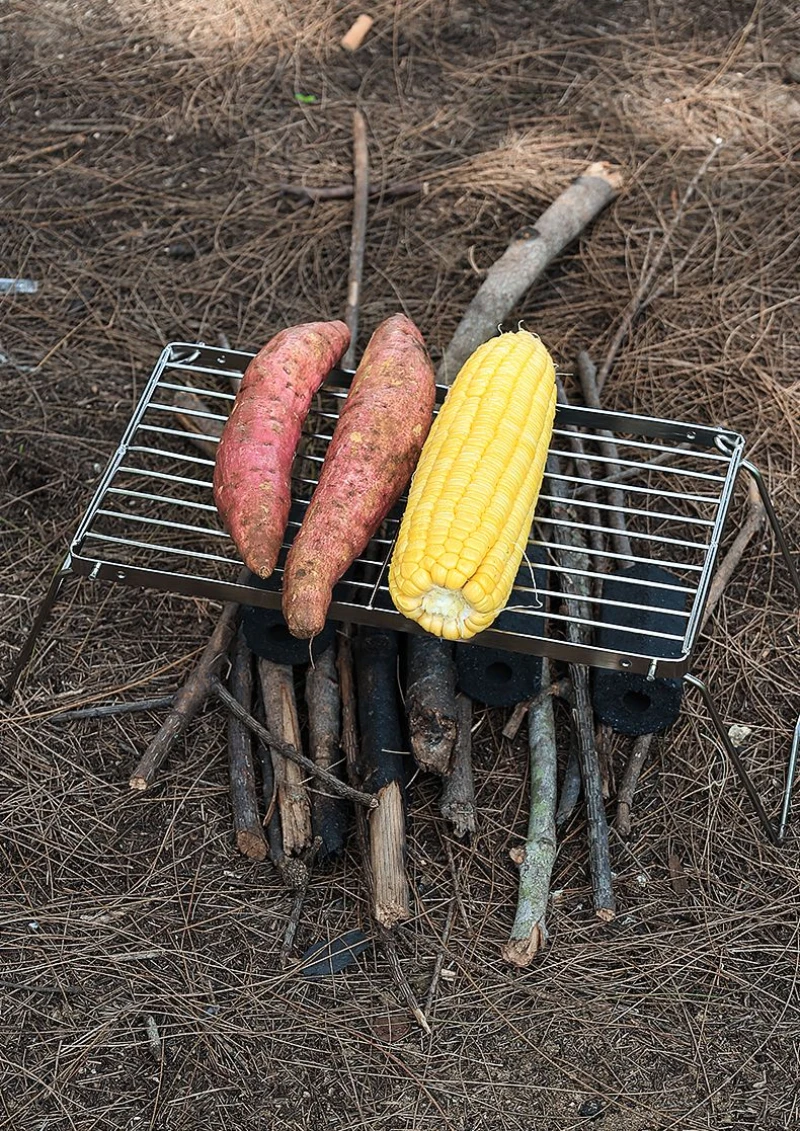 Outdoor Portable Mini Folding Stainless Steel Stove Head Bracket Barbecue Rack Set Pot Rack Baking Tray Bracket Baking Net image 5