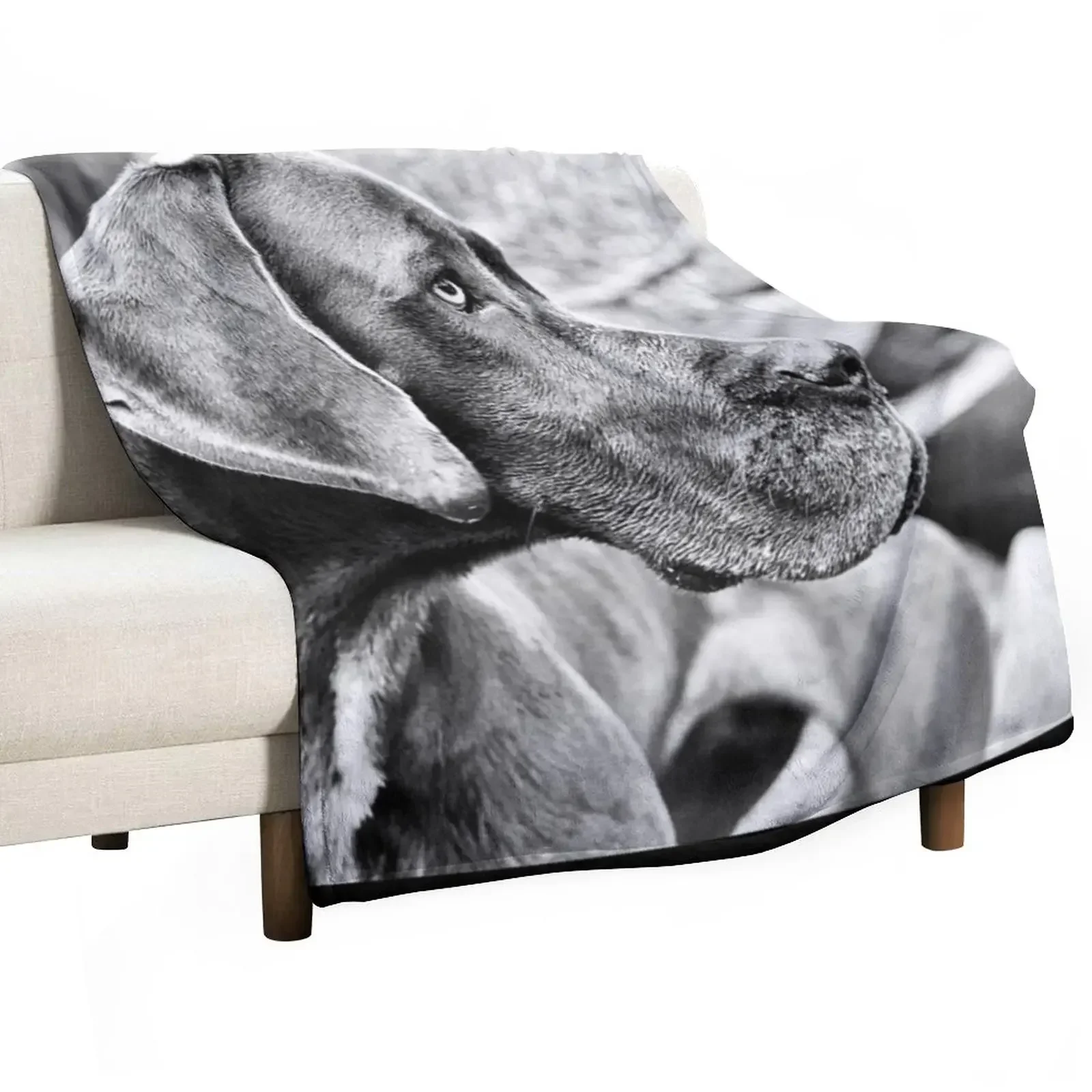 

Blue Black Great Dane Throw Blanket blankets ands Vintage warm winter Blankets